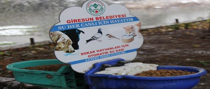 GİRESUN BELEDİYESİ’NDEN HAYVAN YEM İSTASYONU