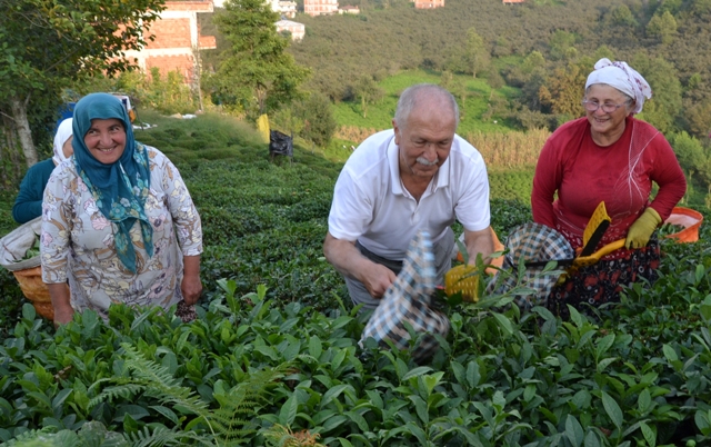 bektaşoğlu &ccedil;ayd