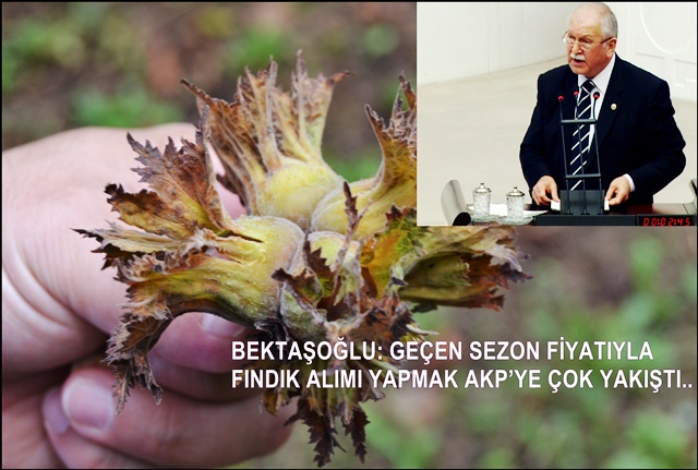 Photo of FINDIK FİYATINA İLK TEPKİ CHP MİLLETVEKİLİ BEKTAŞOĞLU’DAN