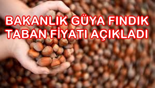 Photo of FINDIKTA FİYAT ŞOKU…GEÇEN SEZON NEYSE O!..