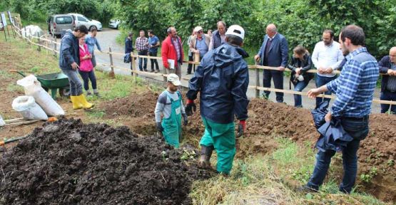 Photo of Fındıkta bitkisel komposta gübre dönemi