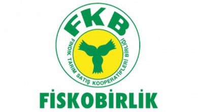 Photo of Fiskobirlik fiyat açıklamadan fındık alımına başlıyor