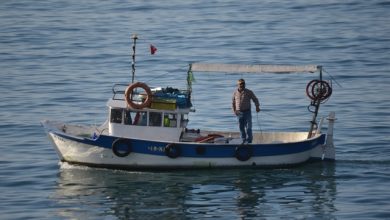 Photo of İşte Giresun’un denizcilik ve balıkçılık bilgileri