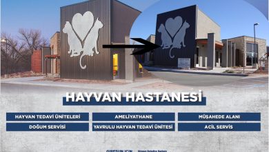 Photo of Hayvan Hastanesi’nde ‘görsel çalıntı’ tartışması