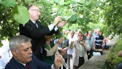 Photo of Keşap’ta 2 Bin Samuray Arısı Doğaya Salındı