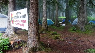 Photo of Gazeteciler Kulakkaya Yaylası Alçakbel’de çadır kamp kurdu