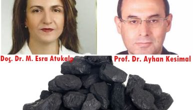 Photo of Bilimsel görüş: Kömür enerjinin vazgeçilmezi…