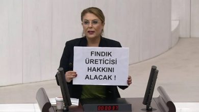 Photo of CHP Milletvekili Gezmiş: “Fındığa 160 TL’nin altında fiyat hak gaspıdır”