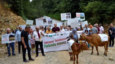 Photo of Doğankent Çatalağaç’ta maden tepkisi