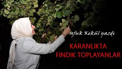 Photo of KARANLIKTA FINDIK TOPLAYANLAR/Ufuk Kekül