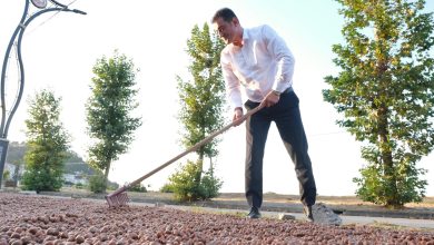 Photo of Köse: “Fındık fiyatı beklenen seviyenin altında”