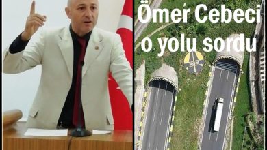 Photo of Cumhurbaşkanı Erdoğan Tirebolu-Torul yolunu unuttu mu?