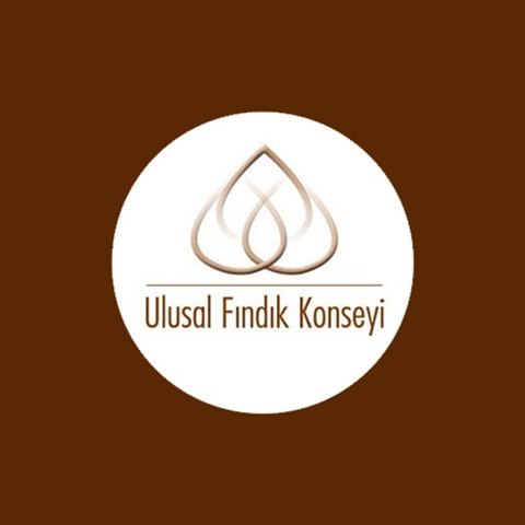 ULUSAK FINDIK KONSEYİ TMO’NUN FINDIK FİYATINI NASIL BULDU?