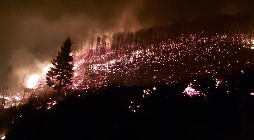 GİRESUN’DA ORMAN YANGINLAR VE SÖNDÜRME ÇALIŞMALARI SÜRÜYOR