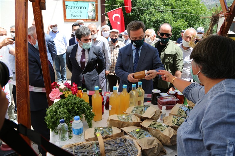 TAMZARA EKOLOJİK PAZARI AÇILDI