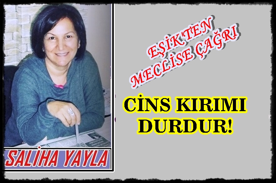 SALİHA YAYLA/ CİNS KIRIMI DURDUR!