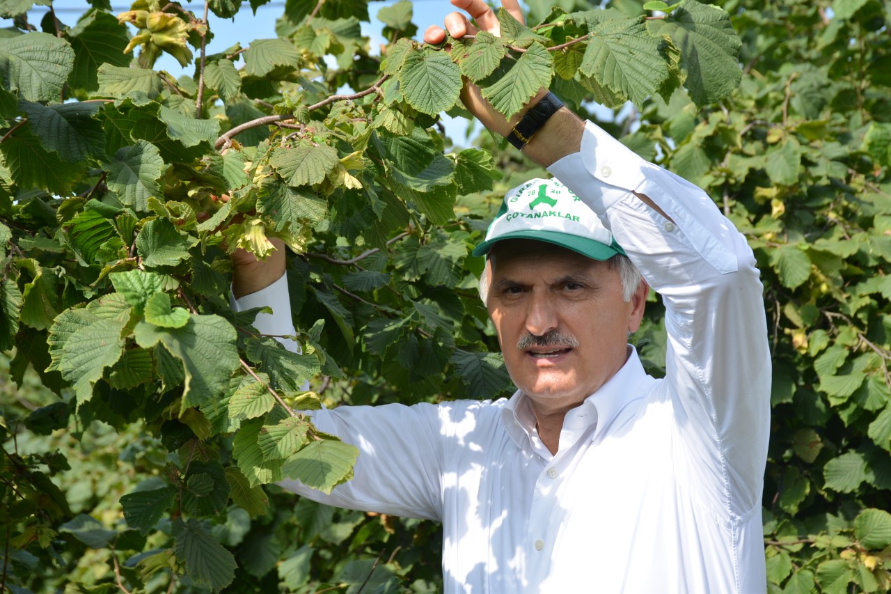 CEMAL ÖZTÜRK, FINDIK FİYATINA TEŞEKKÜR ETTİ