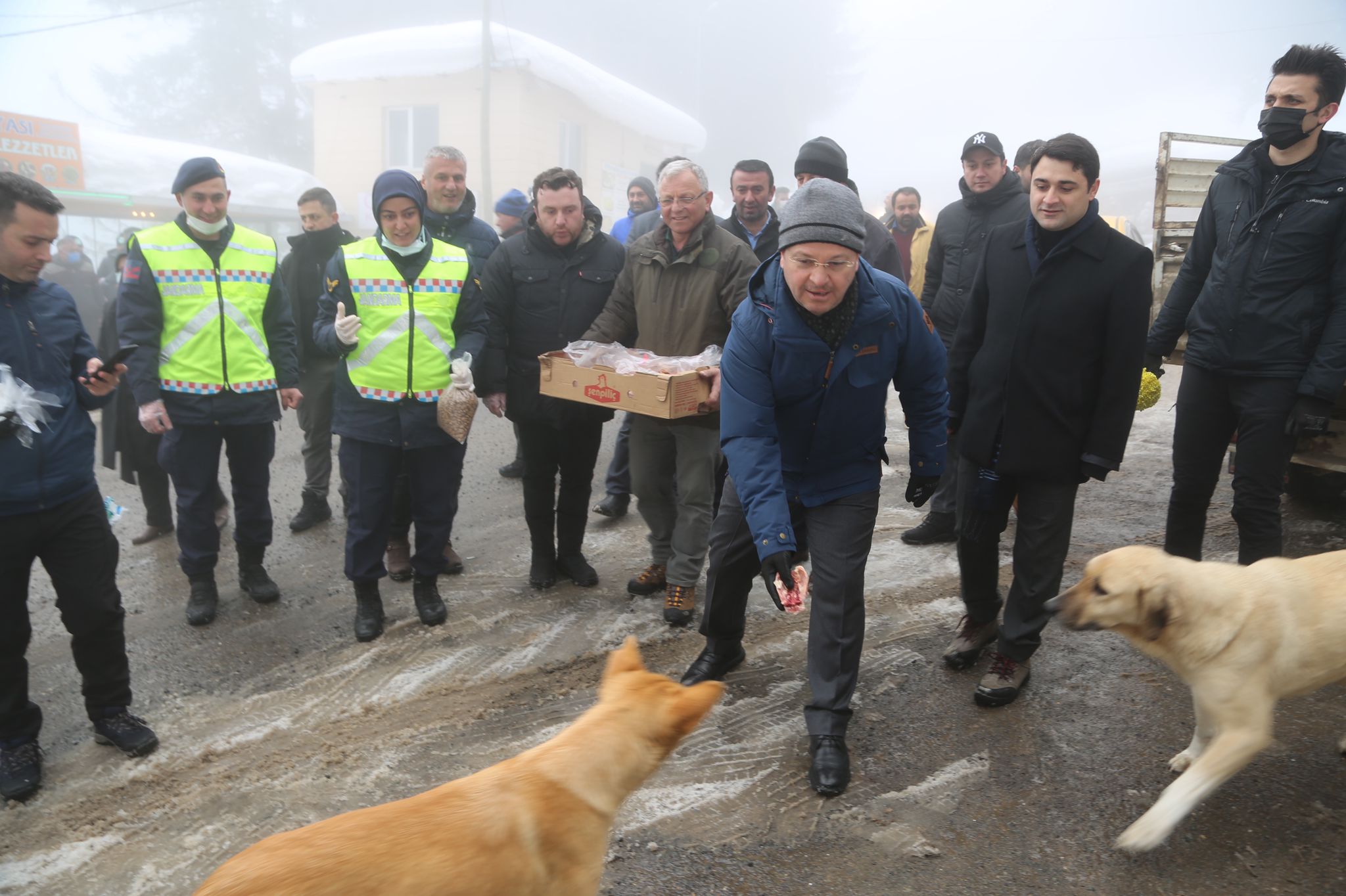 VALİ ENVER ÜNLÜ’NÜN YAYLA KÖPEKLERİ HASSASİYETİ