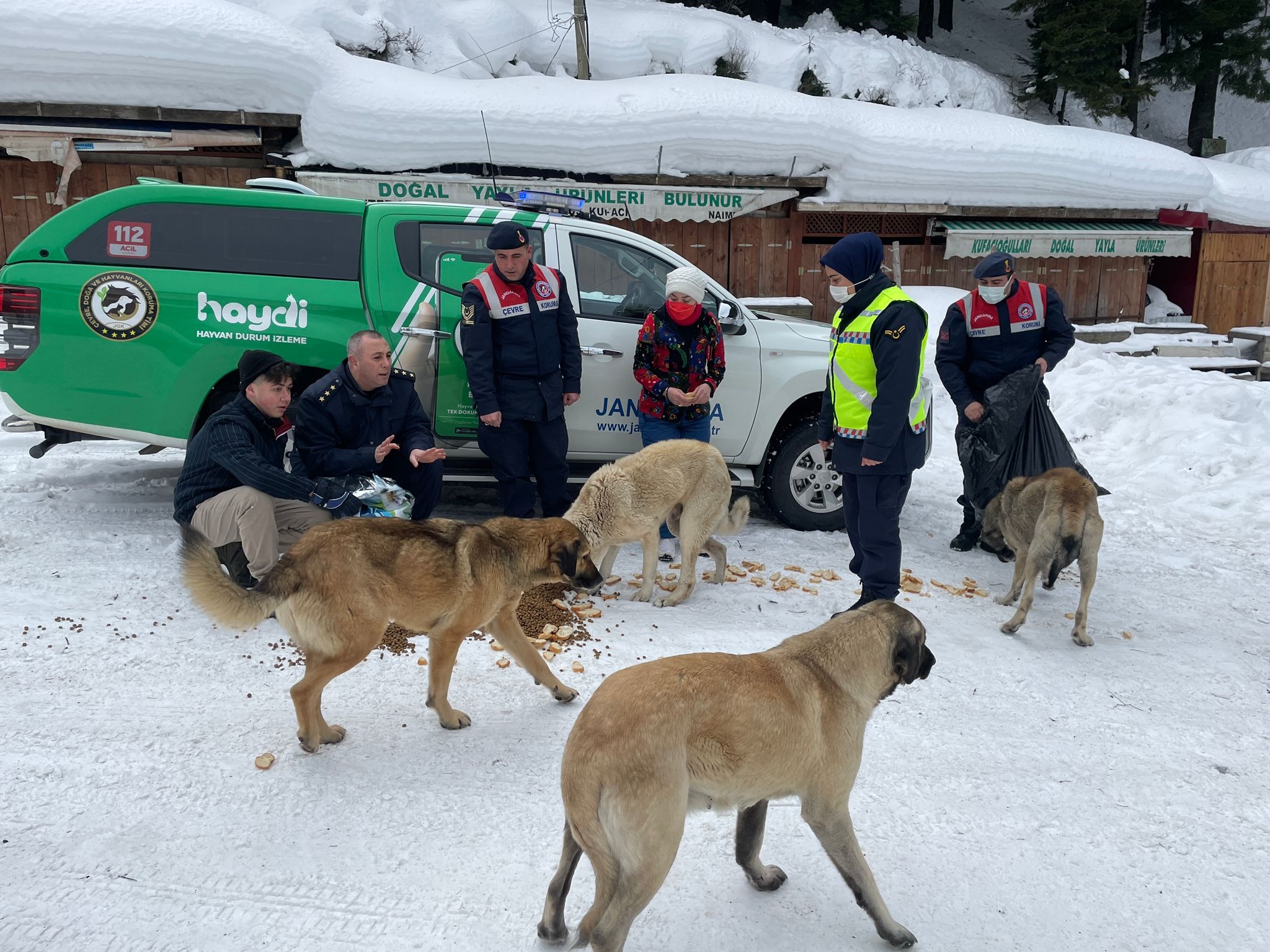 KÜMBET’TEKİ SAHİPSİZ KÖPEKLER BESLENDİ