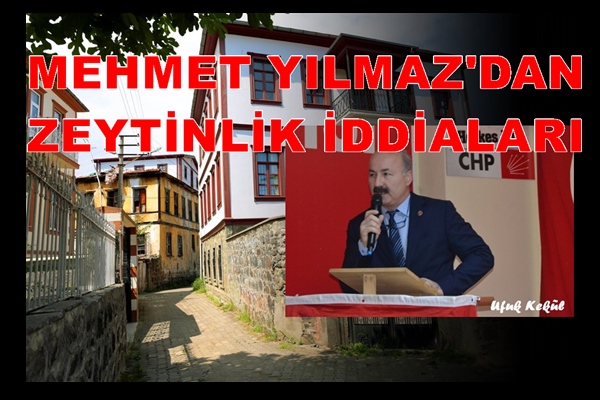 ZEYTİNLİK’E SİYASET DADANDI