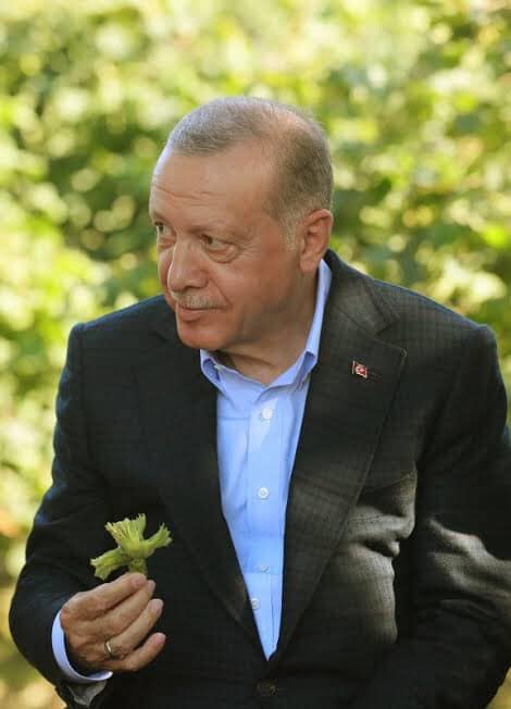 CUMHURBAŞKANI ERDOĞAN FINDIK FİYATI İÇİN NE DEDİ?