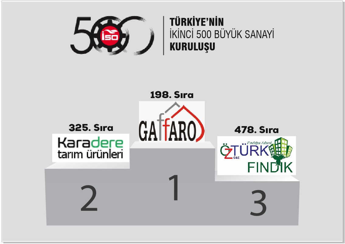 GİRESUN’DAN ÜÇ FİRMA 500 İÇİNDE