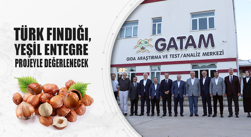 BİR İLK…FINDIK GÜNEŞ ENERJİSİYLE KURUTULACAK