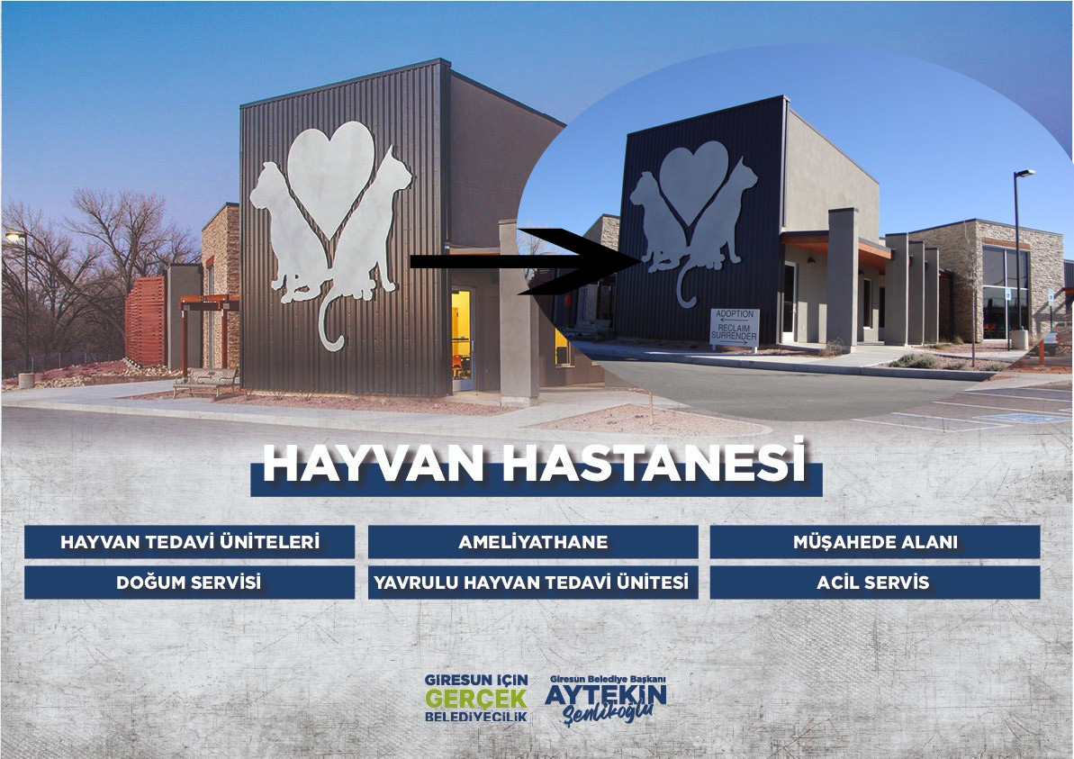 Hayvan Hastanesi’nde ‘görsel çalıntı’ tartışması