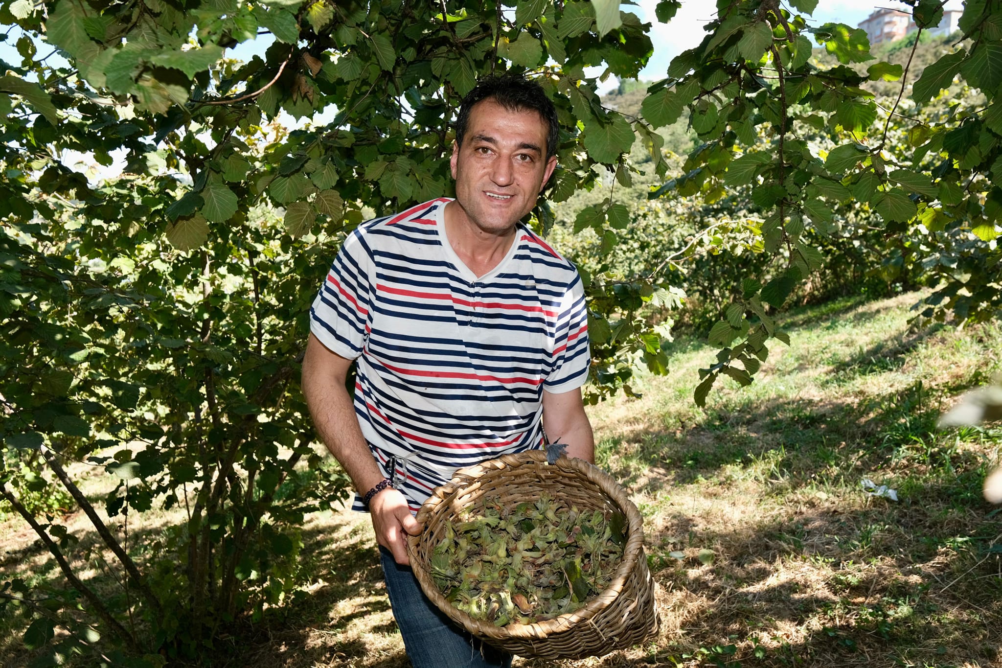 Fuat Köse, fındık üreticisinin çilesine ortak oldu