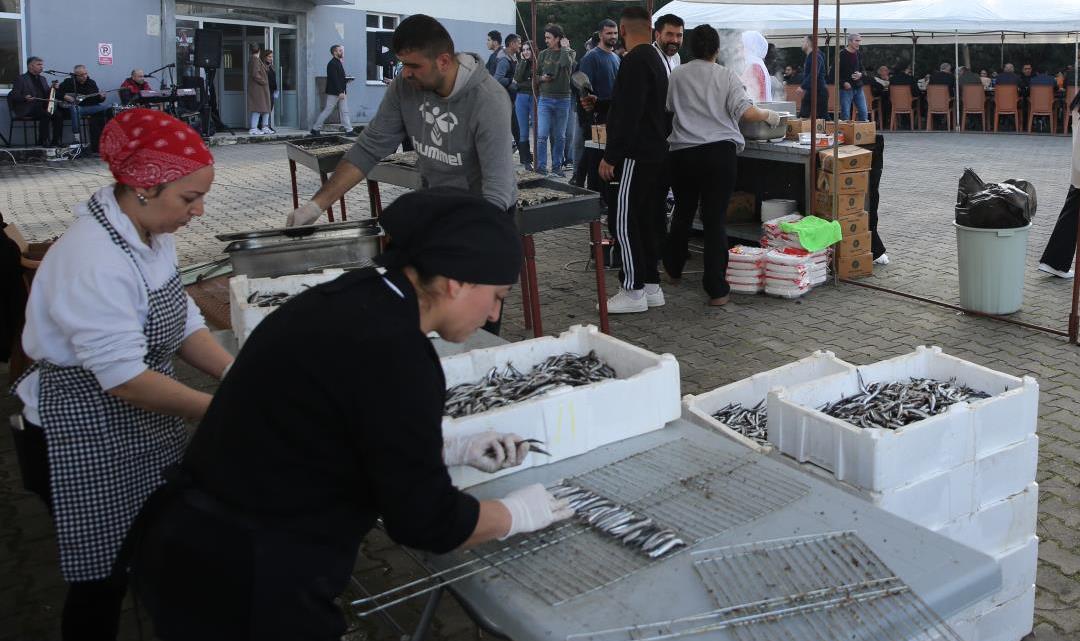 Piraziz Sağlık Bilimlerinde Hamsi Şenliği